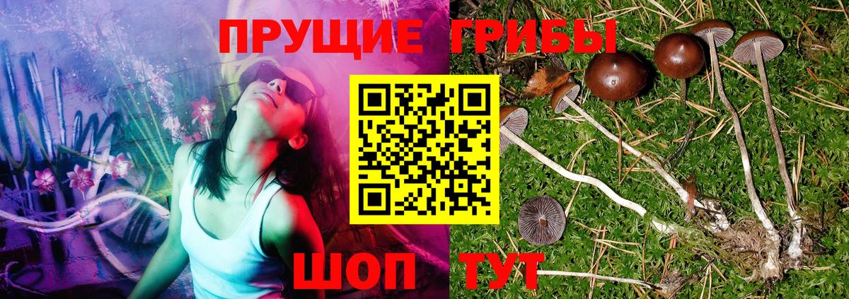 Псилоцибиновые грибы MAGIC MUSHROOMS  Псилоцибиновые грибы мухоморы  Вход с VPN  Отрадный 
