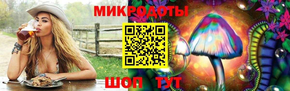 Галлюциногенные грибы Psilocybe Отрадный